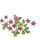 洋菓子